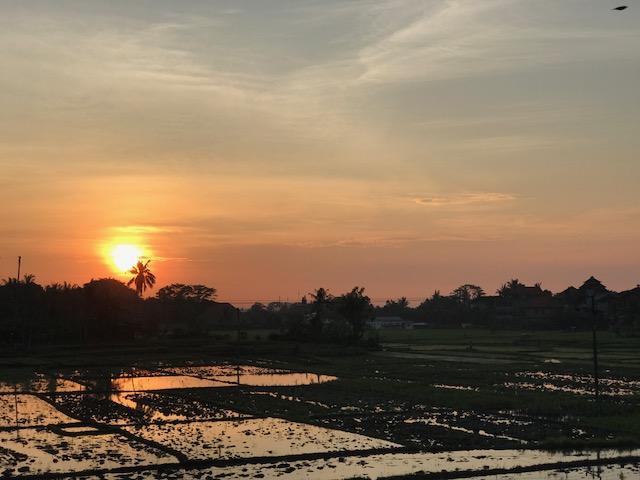 Heavenly View Villa อูบุด ภายนอก รูปภาพ