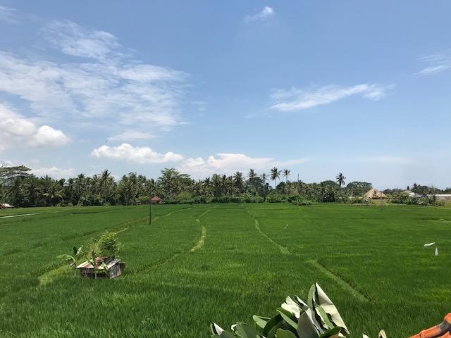 Heavenly View Villa อูบุด ภายนอก รูปภาพ